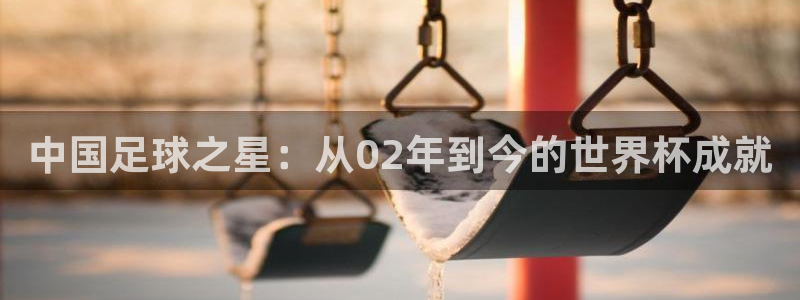 世界杯比赛：中国足球之星：从02年到今的世界杯成就