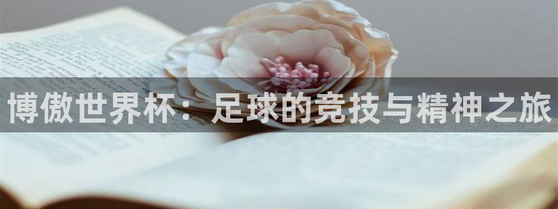 2026世界杯对阵图：博傲世界杯：足球的竞技与精神之旅