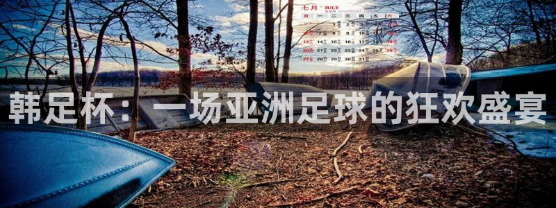 世界杯在线直播入口：韩足杯：一场亚洲足球的狂欢盛宴
