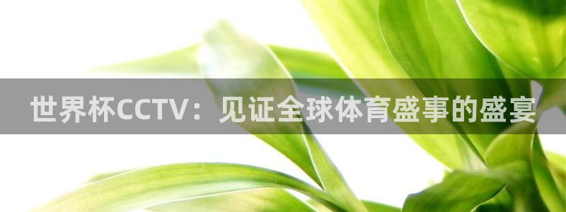 世界杯第一场比赛：世界杯CCTV：见证全球体育盛事的盛宴