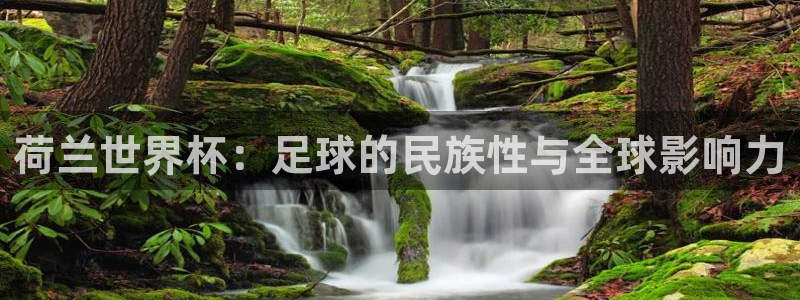 今天所有足球赛程表：荷兰世界杯：足球的民族性与全球影响力