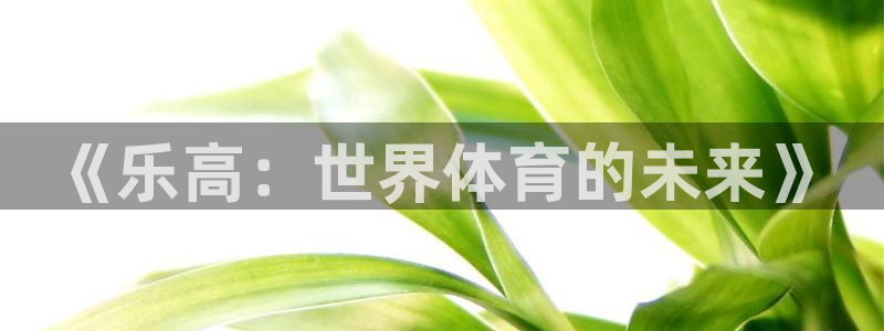 世界杯视频：《乐高：世界体育的未来》