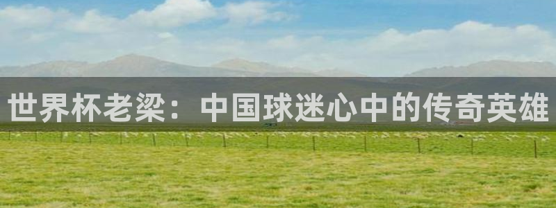2026世界杯亚洲区预选赛赛程：世界杯老梁：中国球迷心中的传奇英雄
