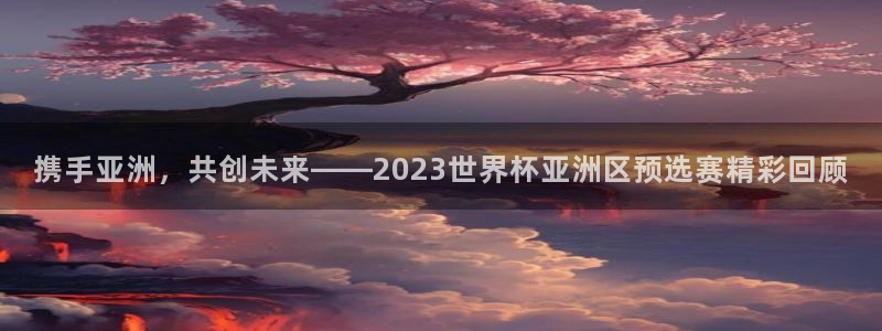 世界杯直播网站：携手亚洲，共创未来——2023世界杯亚洲区预选赛精彩回顾