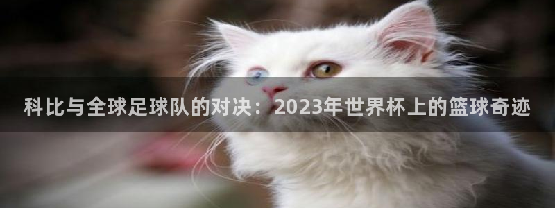 2026世界杯德国队阵容：科比与全球足球队的对决：2023年世界杯上的篮球奇迹